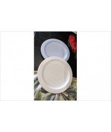 ASSIETTES PLASTIQUE X2 