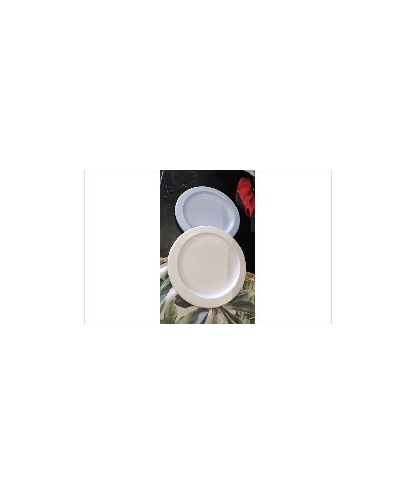 ASSIETTES PLASTIQUE X2 