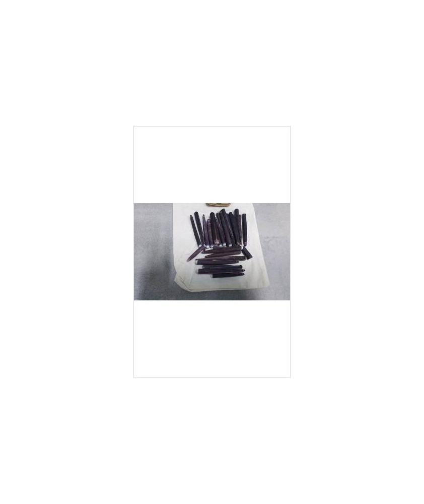 EPINES D\'OURSINS CRAYON LE LOT