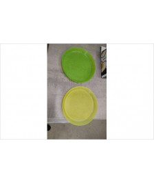 ASSIETTES PLASTIQUE X2 