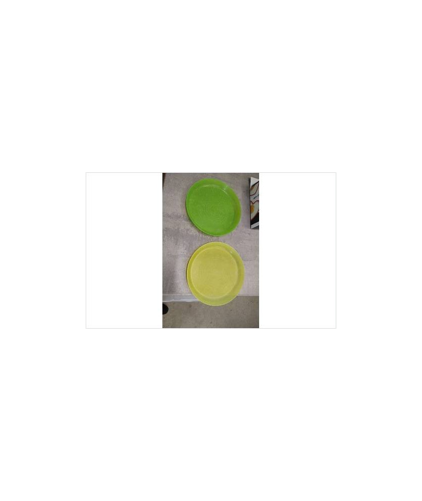 ASSIETTES PLASTIQUE X2 