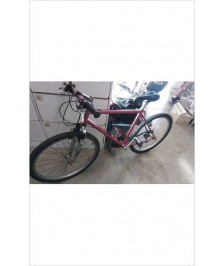 VELO ROSE