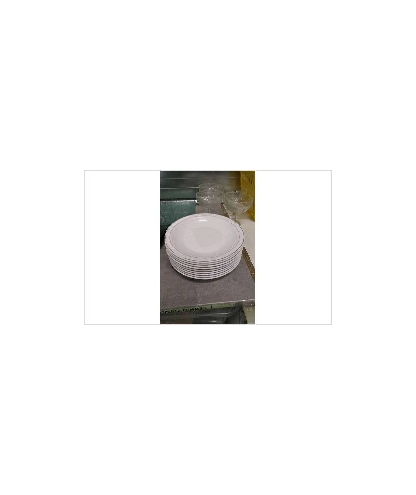 AASSIETTES ARCOPAL X9