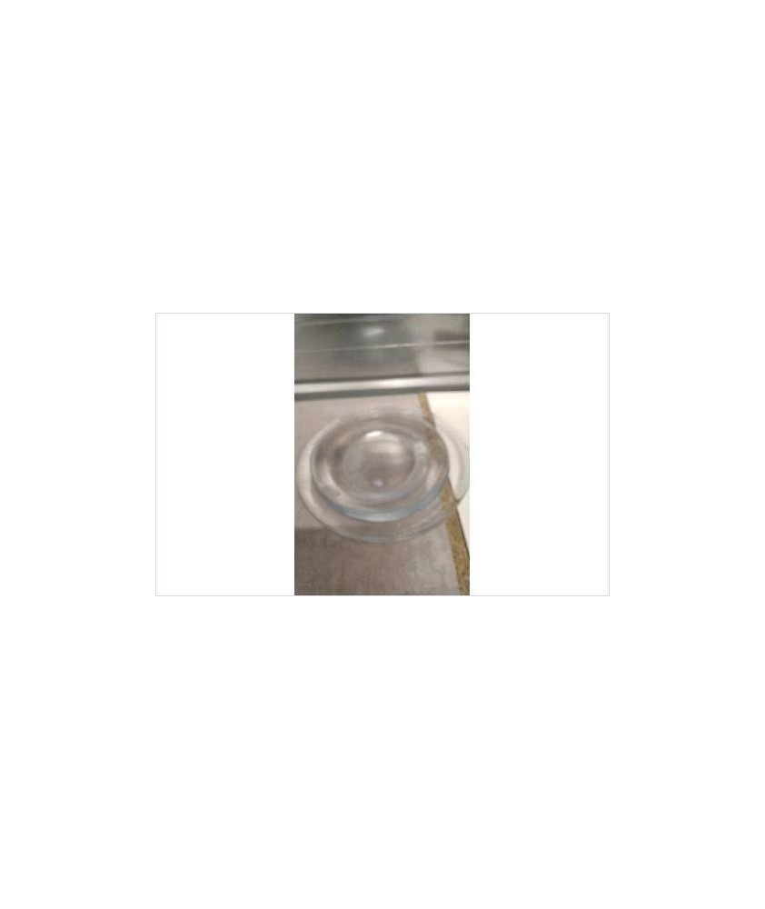 ASSIETTE TRANSPARENTE LE LOT