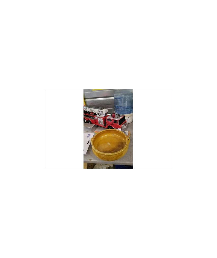 PLAT TERRE JAUNE 