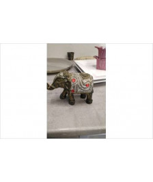 ELEPHANT EN LETAT