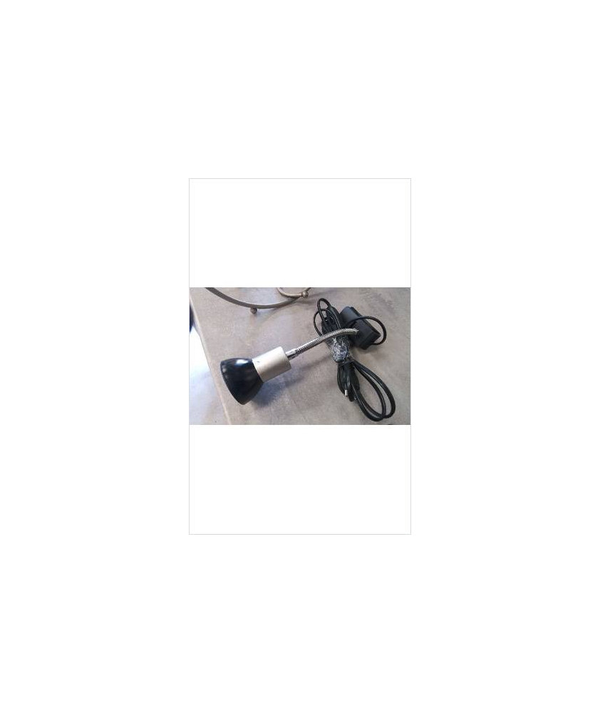 LAMPE A PINCE 
