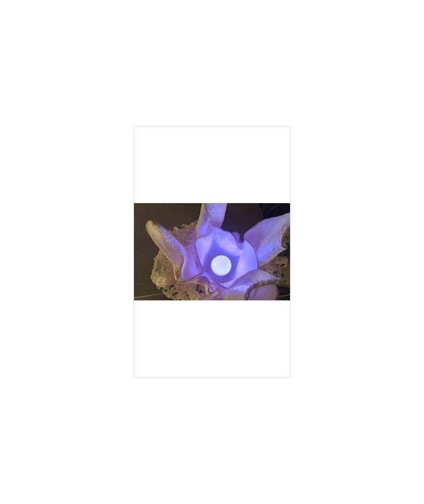 AMPOULE MULTICOLORE + TEL