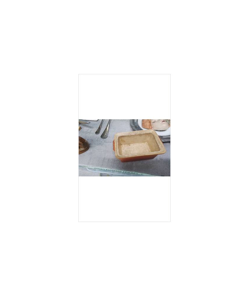 TERRINE RECT PM 