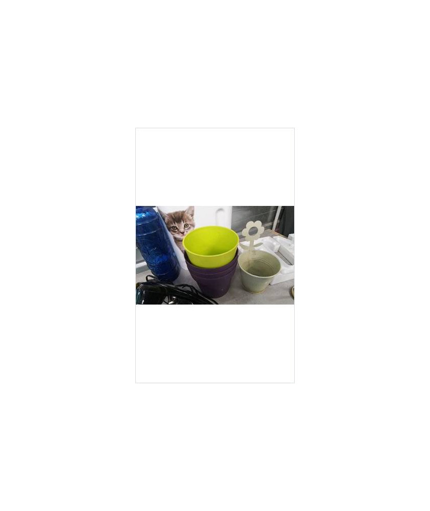 POT PM