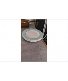 ASSIETTES DESSERT  ARCOPAL X4 