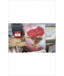 TOILE BOUQUET ROUGE 
