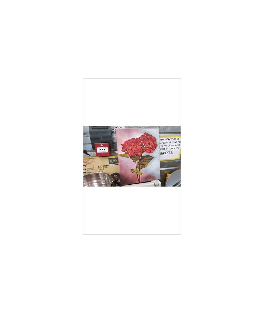 TOILE BOUQUET ROUGE 
