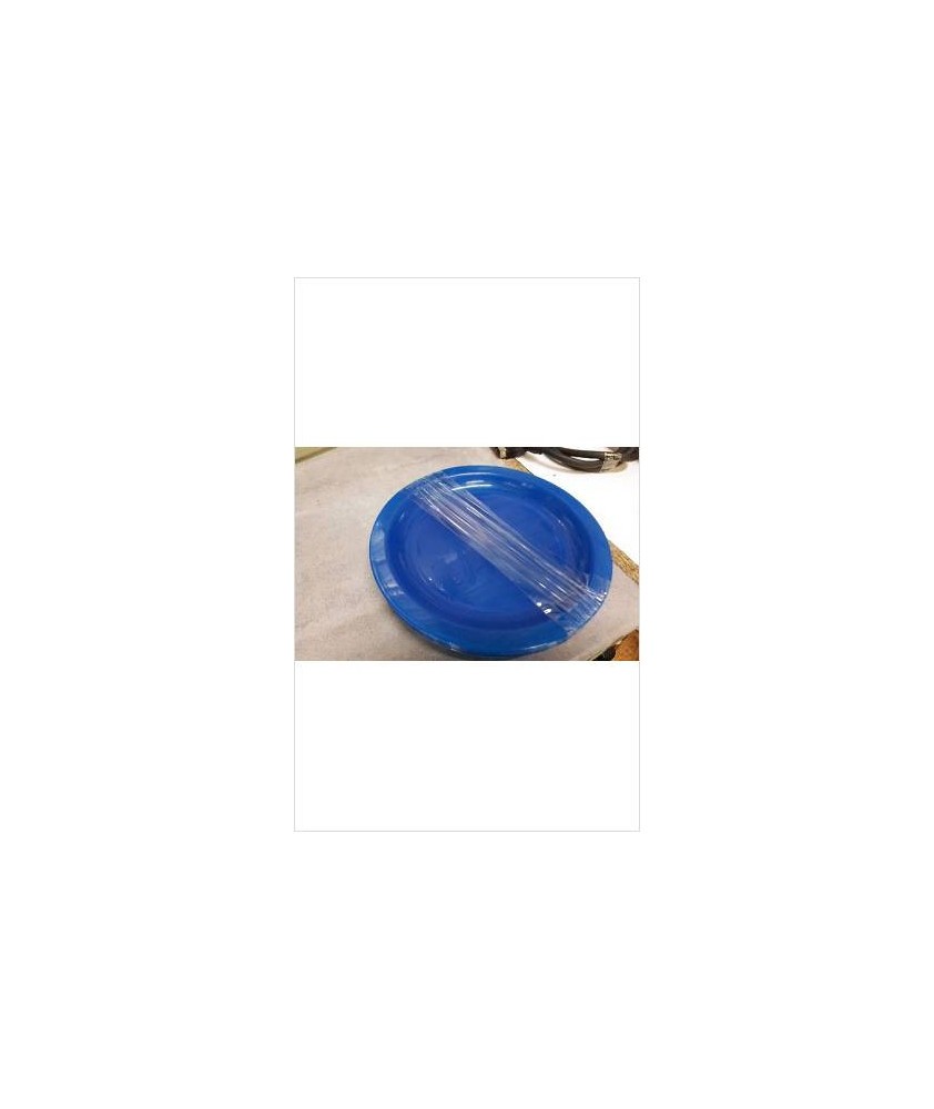 ASSIETTES PLASTIQUES 