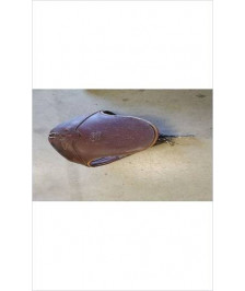 DESSOUS DE SELLE DE CHEVAL CWD