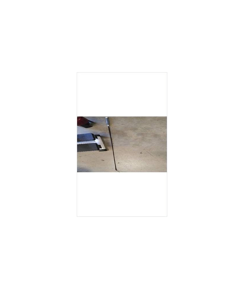 CRAVACHE WHIP AND GO / GEL