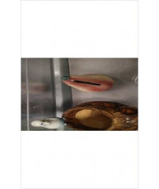DECO POIRE