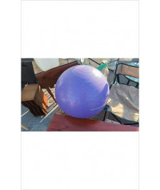 BALLON GYM GO SPORT