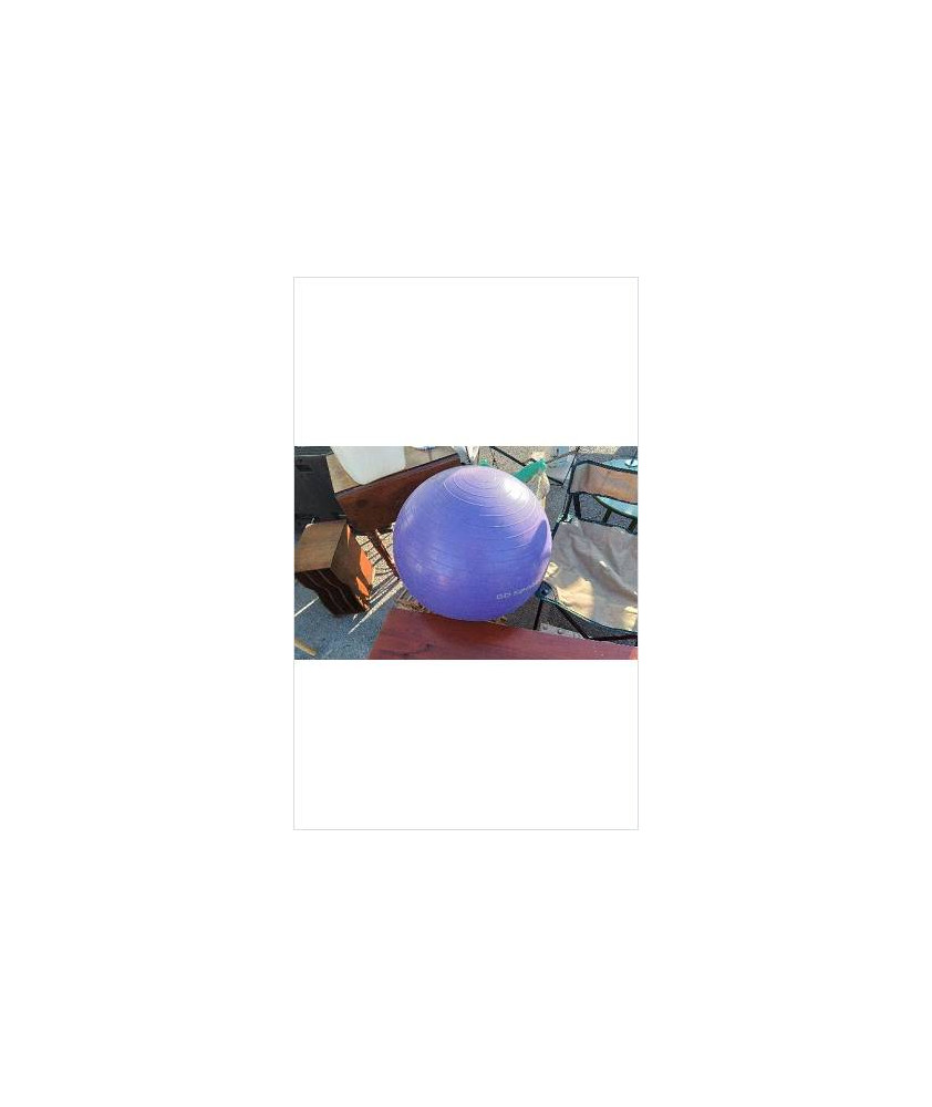 BALLON GYM GO SPORT