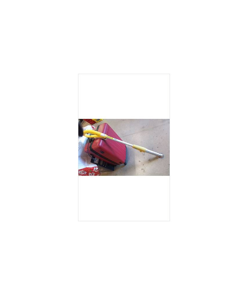DÉSHERBEUR THERMIQUE 