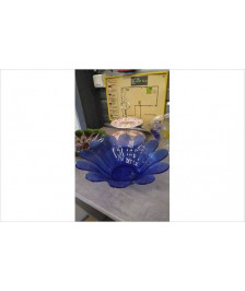 COUPE A FRUITS BLEUE