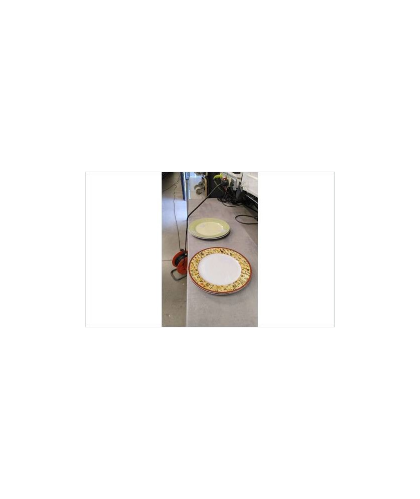 ASSIETTE  X2