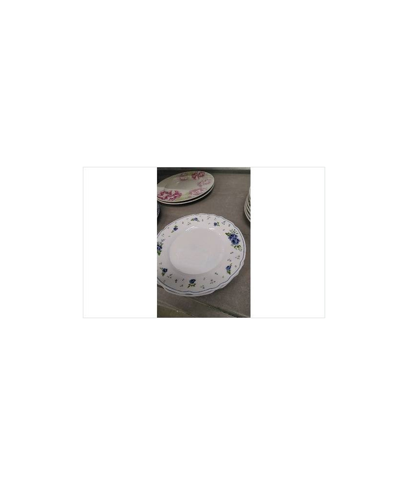 ASSIETTE BORMIOLI X2