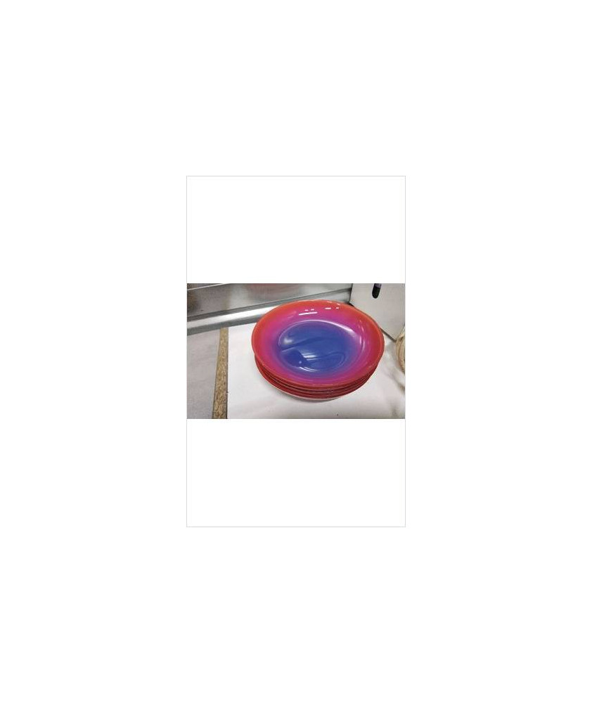 ASSIETTE CREUSE COULEUR
