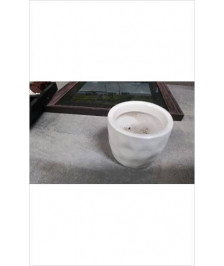 POT PM