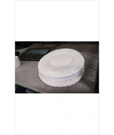 ASSIETTE ARCOPAL LE LOT