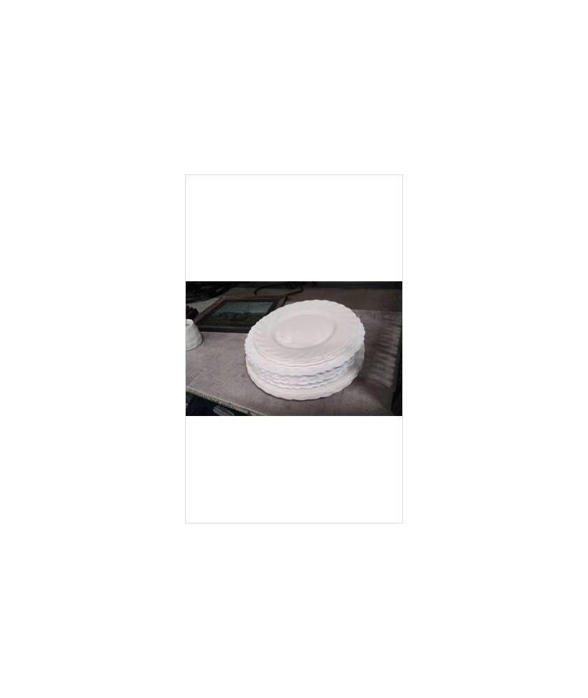 ASSIETTE ARCOPAL LE LOT