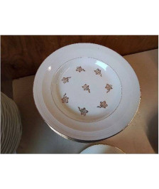 LOT DE 12 ASSIETTES EN PORCALAINE