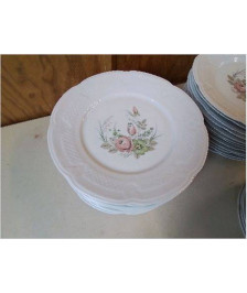 LOT DE 11 ASSIETTES EN PORCALAINE 