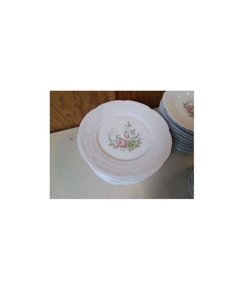LOT DE 11 ASSIETTES EN PORCALAINE 