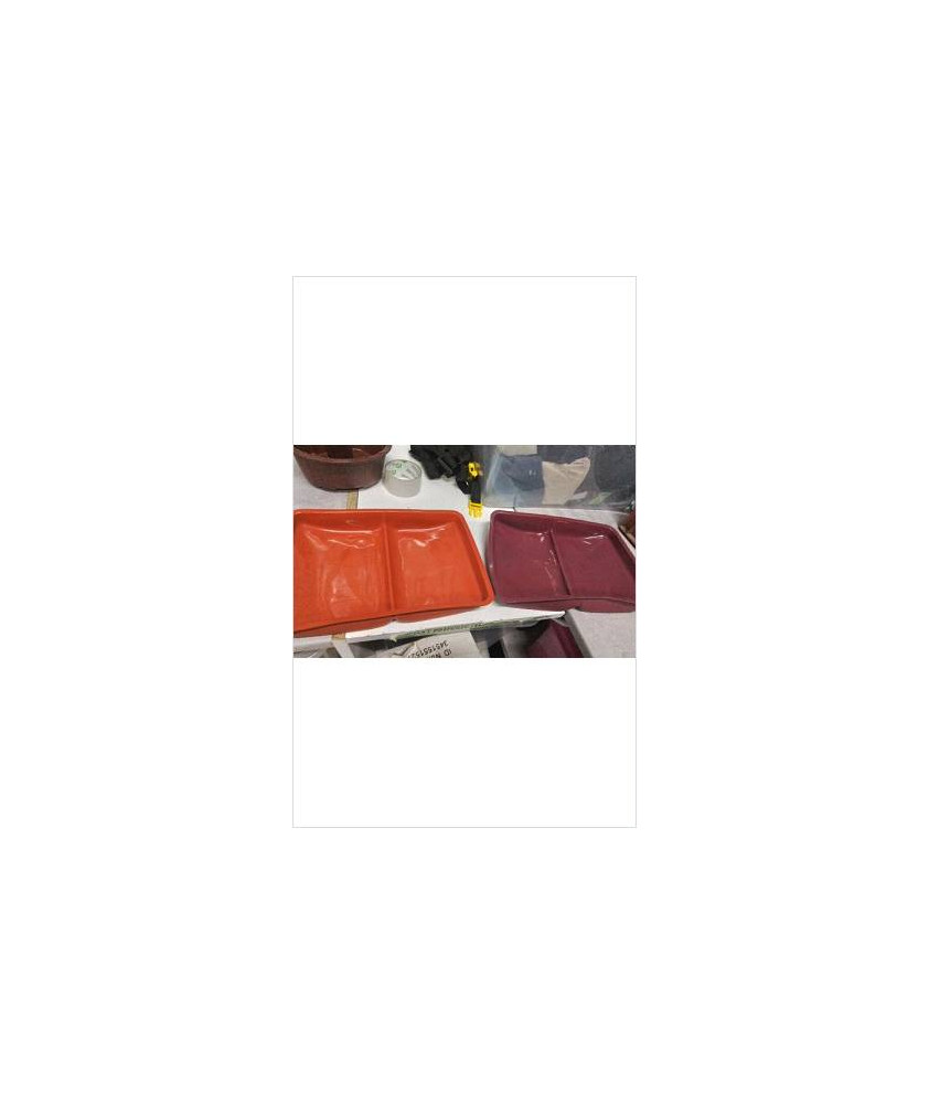 PLATS SILICONE X2