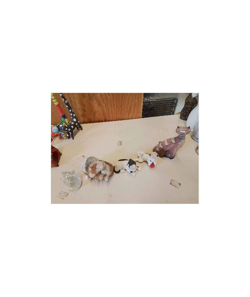 CHAT DECO 