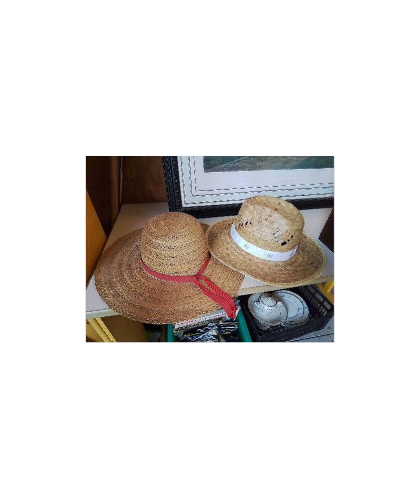 CHAPEAU DE PAILLE