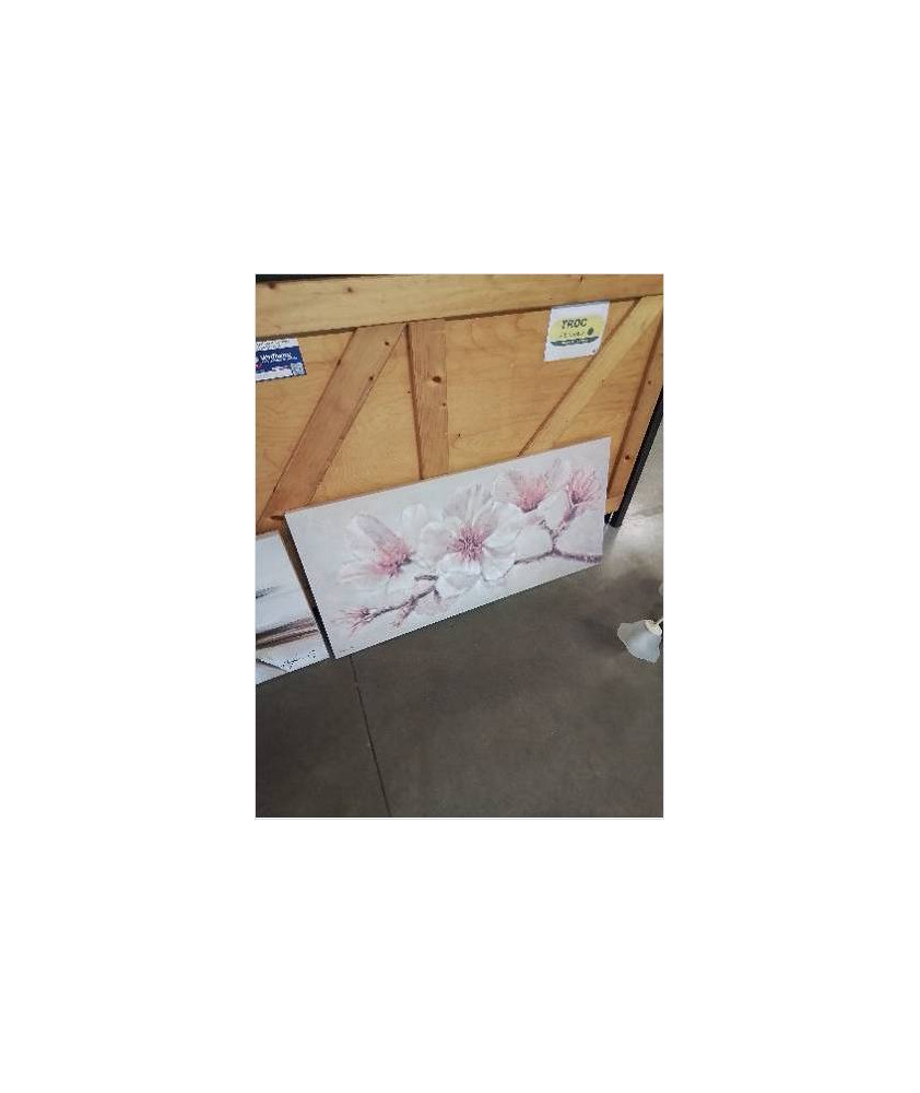CADRE ECRU ROSE AUX FLEURS 