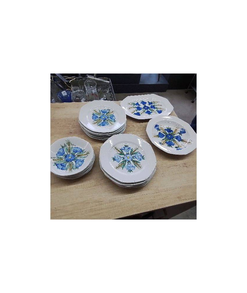 SERVICE PORCELAINE PEINTE A LA MAIN 
