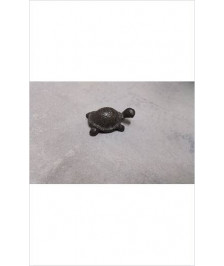 TORTUE FONTE PM 