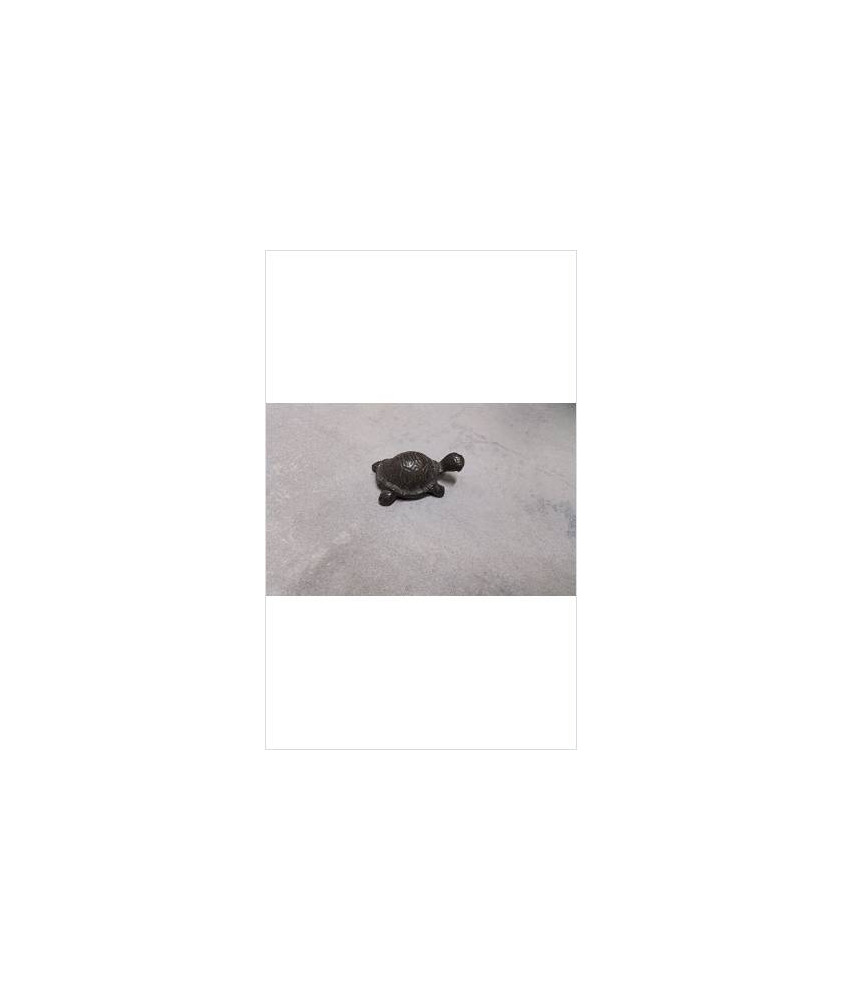 TORTUE FONTE PM 
