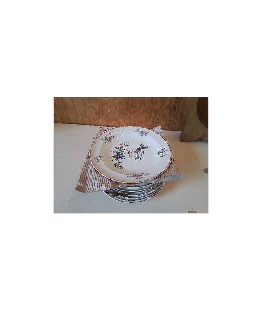 ASSIETTE EN PORCELAINE DE LIMOGE 