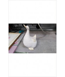 DECO CANARD 