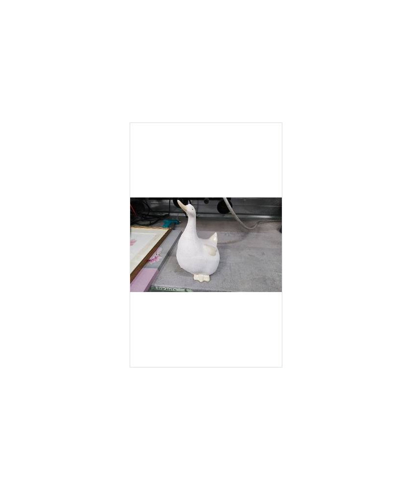 DECO CANARD 