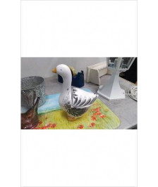 BOITE CANARD 