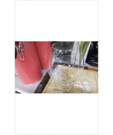 VERRE COGNAC 