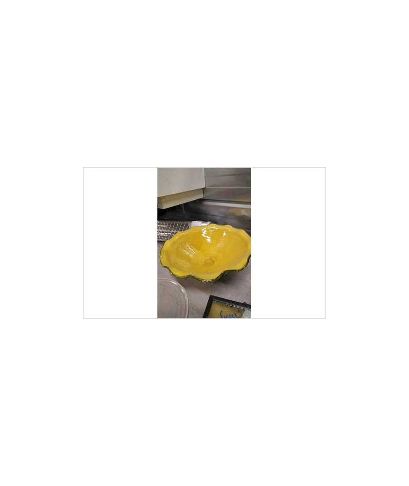 COUPE A FRUITS OLIVES GL / EN L’ETAT