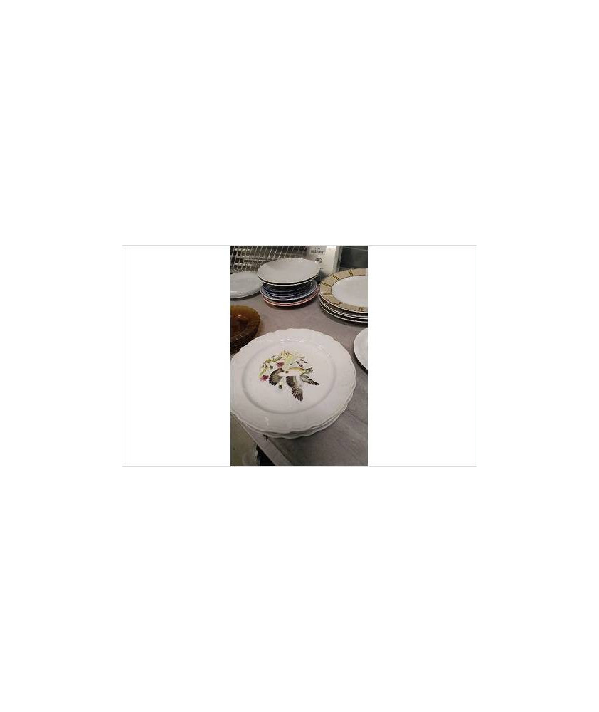 ASSIETTE OISEAU LE LOT 