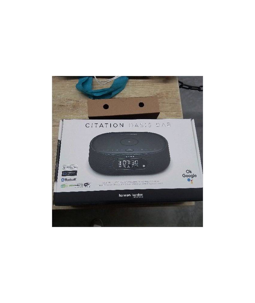 ENCEINTE CITATION OASIS DAB