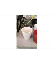 POT BLANC STRIE 